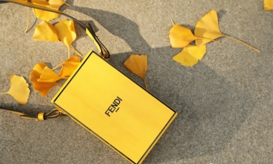 ​One of the best Fendi replica bags to buy: Pack (2022 Updated)-Best Quality designer Bag Review, and online shopping, designer bag ru