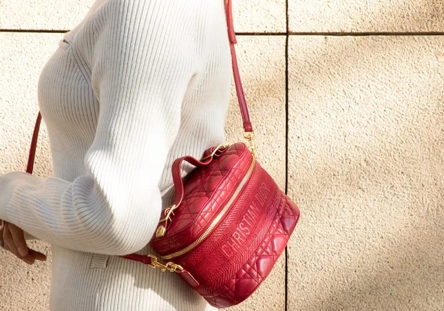 One of the most worthwhile replica bags to buy: DIOR TRAVEL (2022 Special)-Best Quality designer Bag Review, and online shopping, designer bag ru