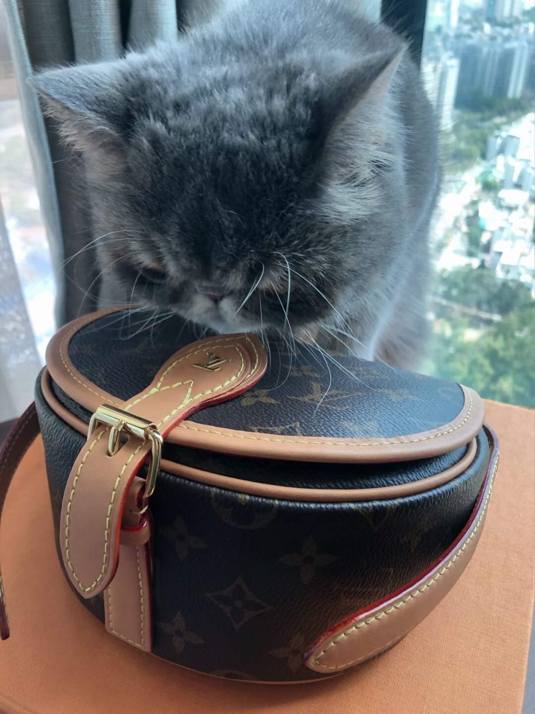 Louis Vuitton M44860 Tambourin Top Replica Handbags Customer’s photo (2022 Special)-Best Quality designer Bag Review, and online shopping, designer bag ru