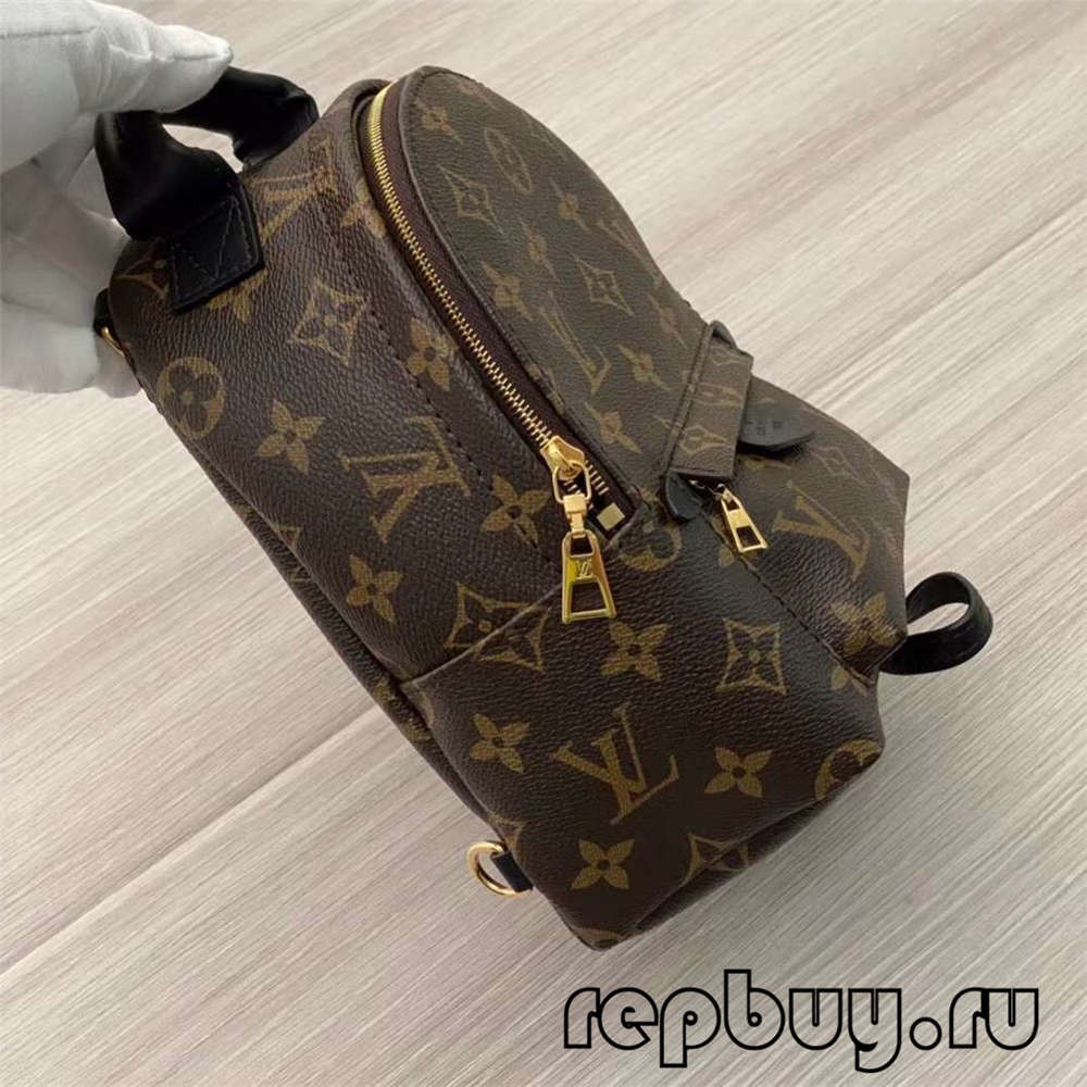 Louis Vuitton M44873 Palm Spring 23cm backpack top replica bags (2022 Special)-Best Quality designer Bag Review, and online shopping, designer bag ru
