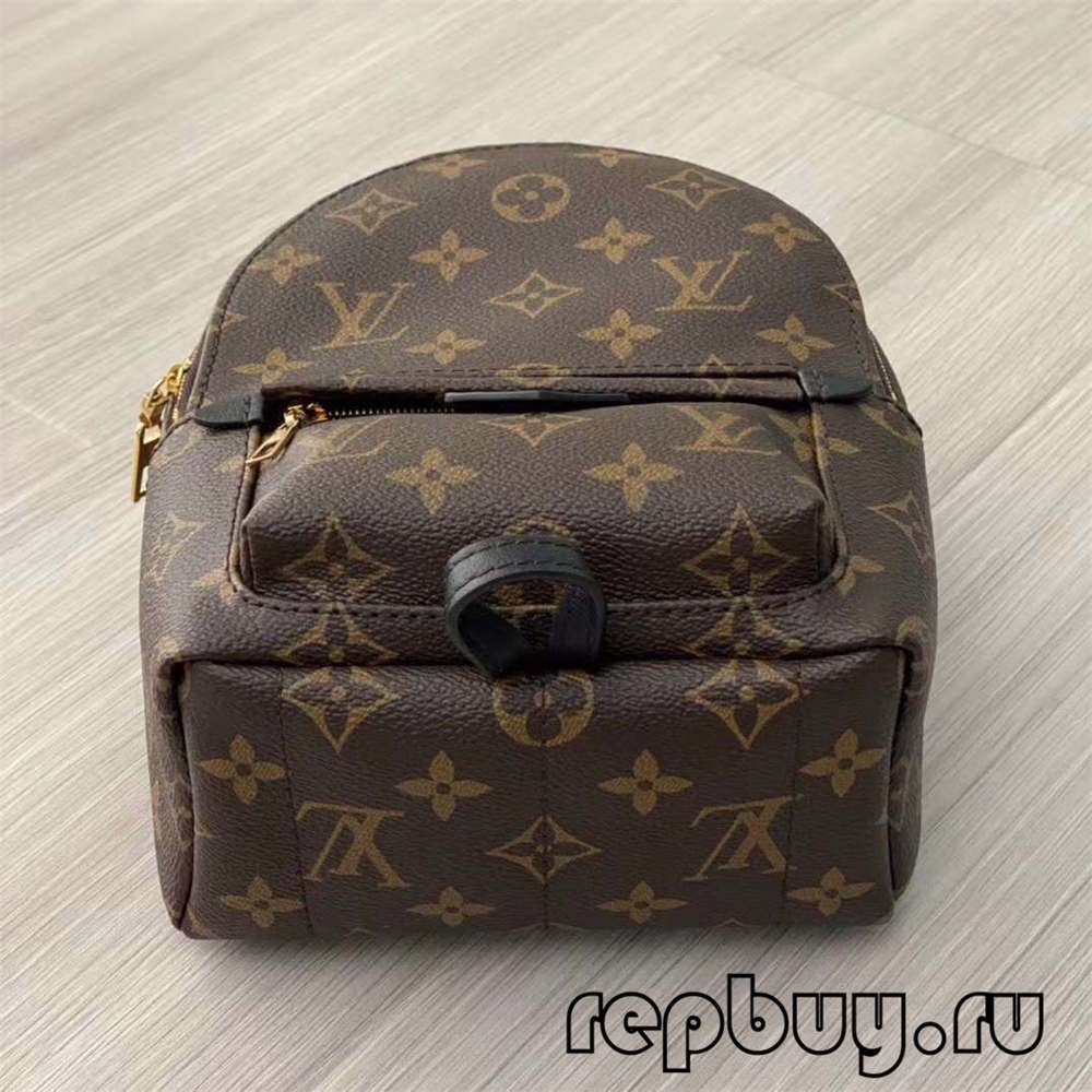 Louis Vuitton M44873 Palm Spring 23cm backpack top replica bags (2022 Special)-Best Quality designer Bag Review, and online shopping, designer bag ru