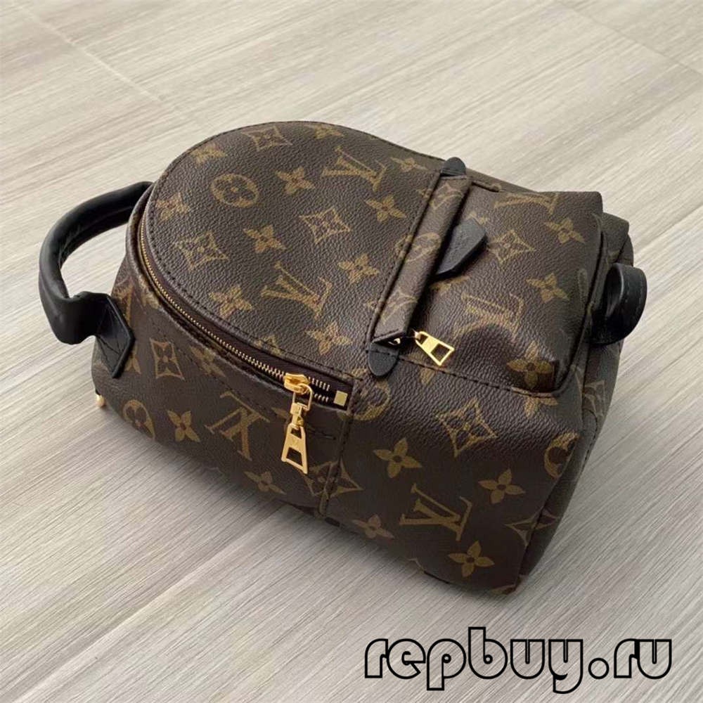 Louis Vuitton M44873 Palm Spring 23cm backpack top replica bags (2022 Special)-Best Quality designer Bag Review, and online shopping, designer bag ru