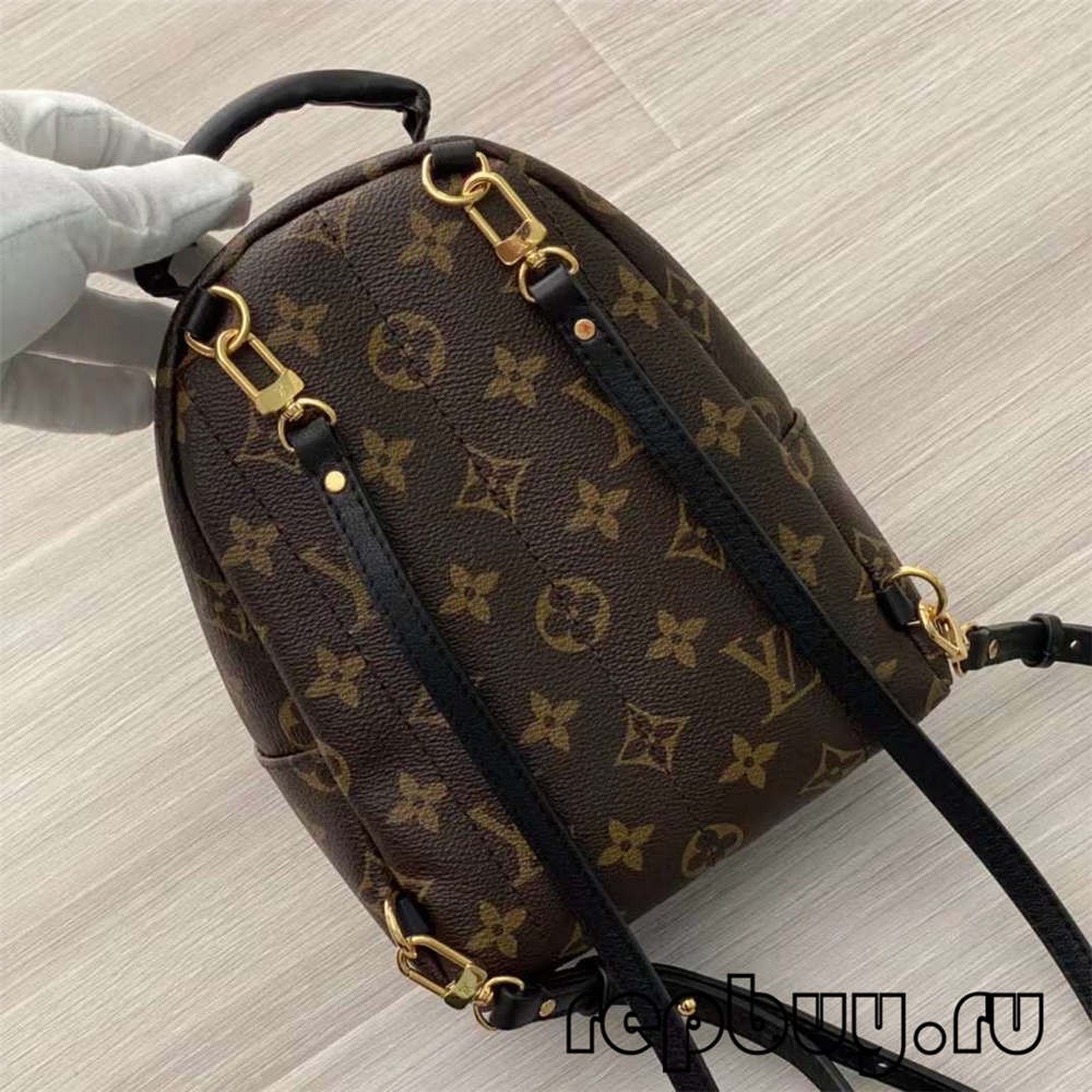 Louis Vuitton M44873 Palm Spring 23cm backpack top replica bags (2022 Special)-Best Quality designer Bag Review, and online shopping, designer bag ru