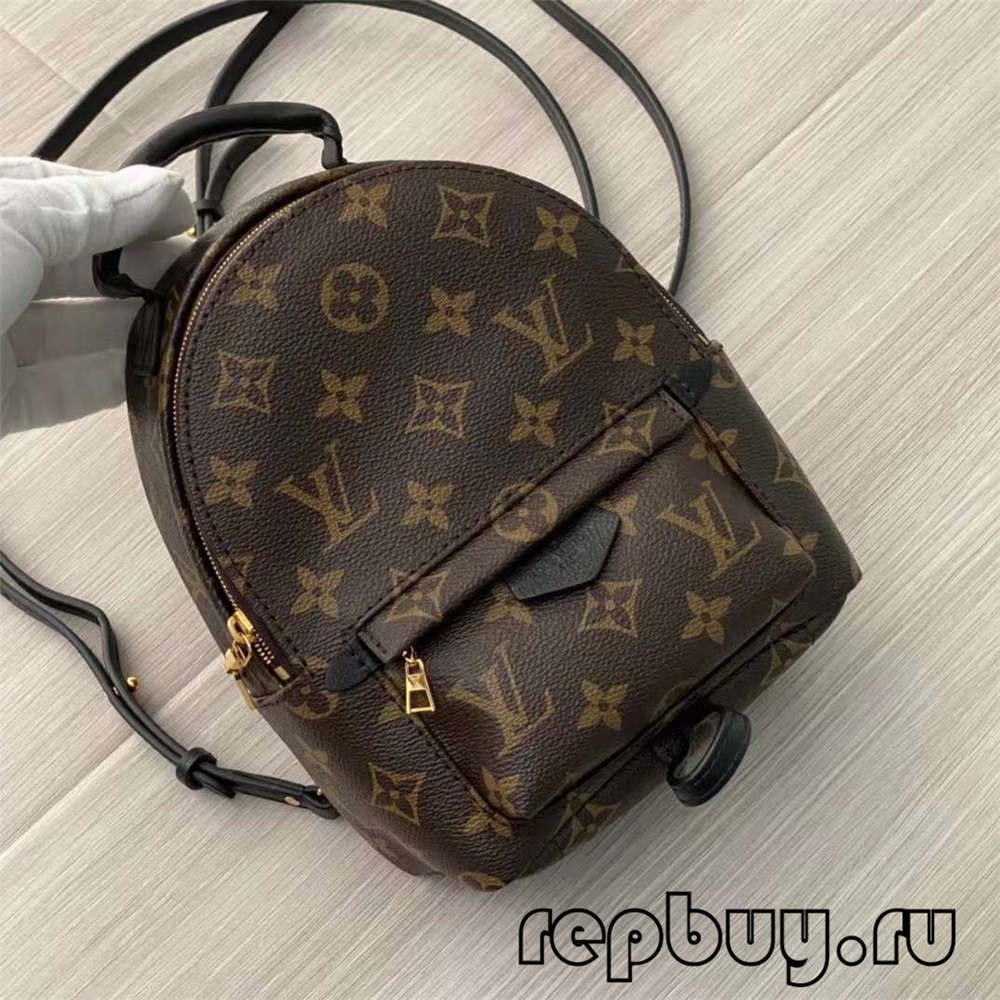 Louis Vuitton M44873 Palm Spring 23cm backpack top replica bags (2022 Special)-Best Quality designer Bag Review, and online shopping, designer bag ru