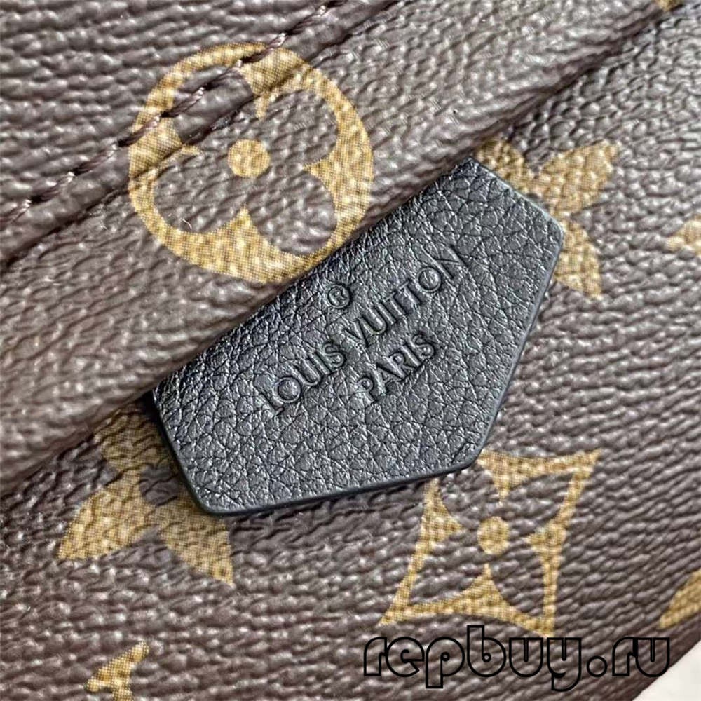 Louis Vuitton M44873 Palm Spring 23cm backpack top replica bags (2022 Special)-Best Quality designer Bag Review, and online shopping, designer bag ru