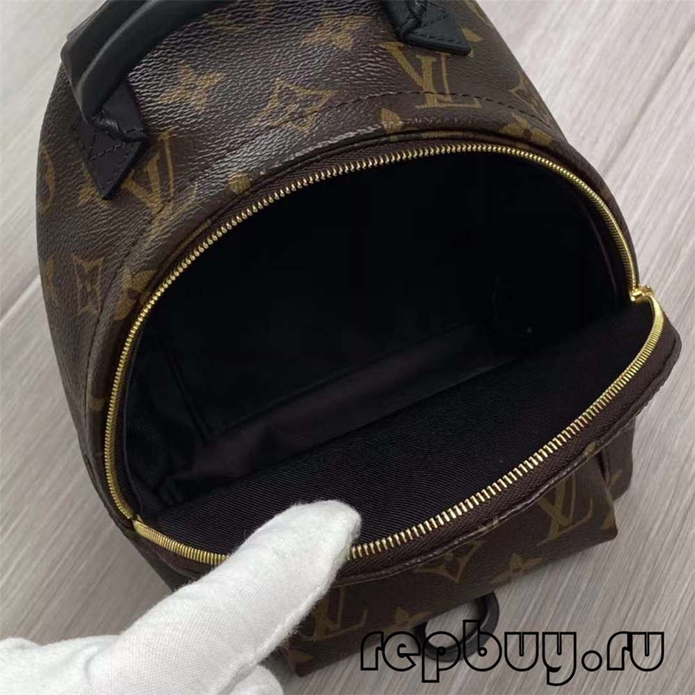 Louis Vuitton M44873 Palm Spring 23cm backpack top replica bags (2022 Special)-Best Quality designer Bag Review, and online shopping, designer bag ru
