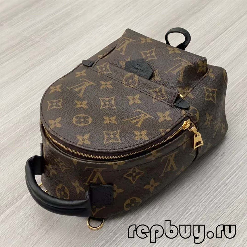 Louis Vuitton M44873 Palm Spring 23cm backpack top replica bags (2022 Special)-Best Quality designer Bag Review, and online shopping, designer bag ru