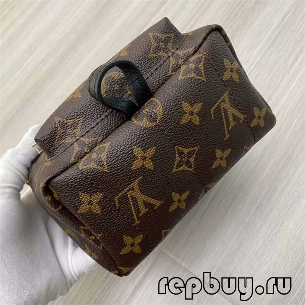 Louis Vuitton M44873 Palm Spring 23cm backpack top replica bags (2022 Special)-Best Quality designer Bag Review, and online shopping, designer bag ru