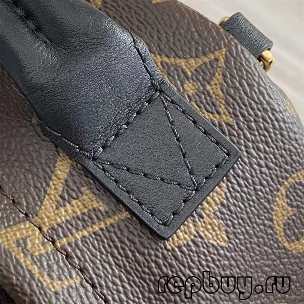 Louis Vuitton M44873 Palm Spring 23cm Shoulder Backpack Top Replica Bags Details (2022 Updated)-Best Quality designer Bag Review, and online shopping, designer bag ru