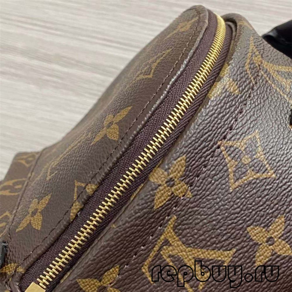 Louis Vuitton M44873 Palm Spring 23cm Shoulder Backpack Top Replica Bags Details (2022 Updated)-Best Quality designer Bag Review, and online shopping, designer bag ru