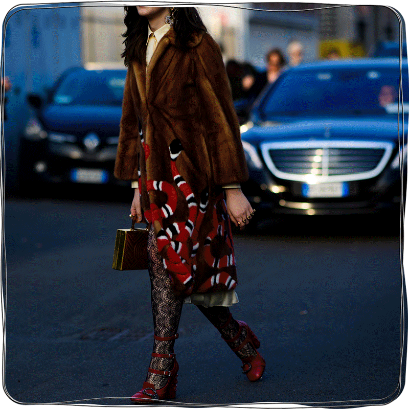 Alessandro Michele Fired Gucci, How about GG Marmont and Dionysus?-Best Quality designer Bag Review, and online shopping, designer bag ru Alessandro Michele Fired Gucci, How about GG Marmont and Dionysus?-Best Quality designer Bag Review, and online shopping, designer bag ru