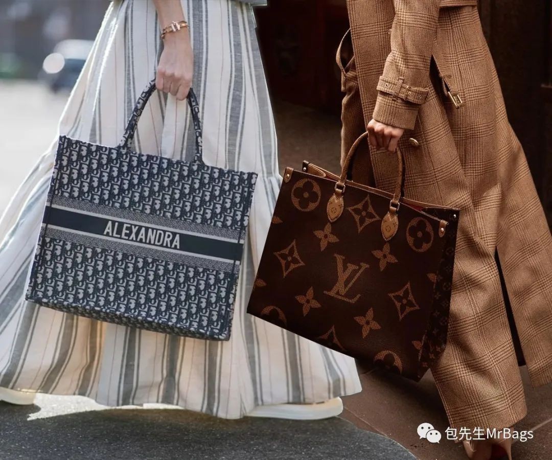 Carryall or Goyard Hobo, which one should I choose? (2023 Updated)-Best Quality designer Bag Review, and online shopping, designer bag ru