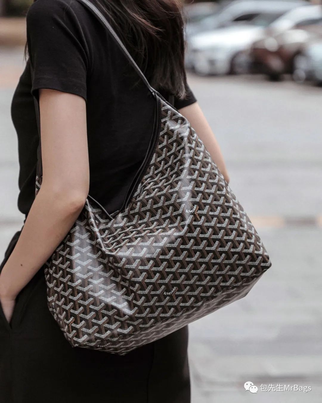Carryall or Goyard Hobo, which one should I choose? (2023 Updated)-Best Quality designer Bag Review, and online shopping, designer bag ru