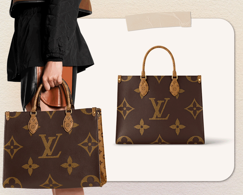 Carryall or Goyard Hobo, which one should I choose? (2023 Updated)-Best Quality designer Bag Review, and online shopping, designer bag ru