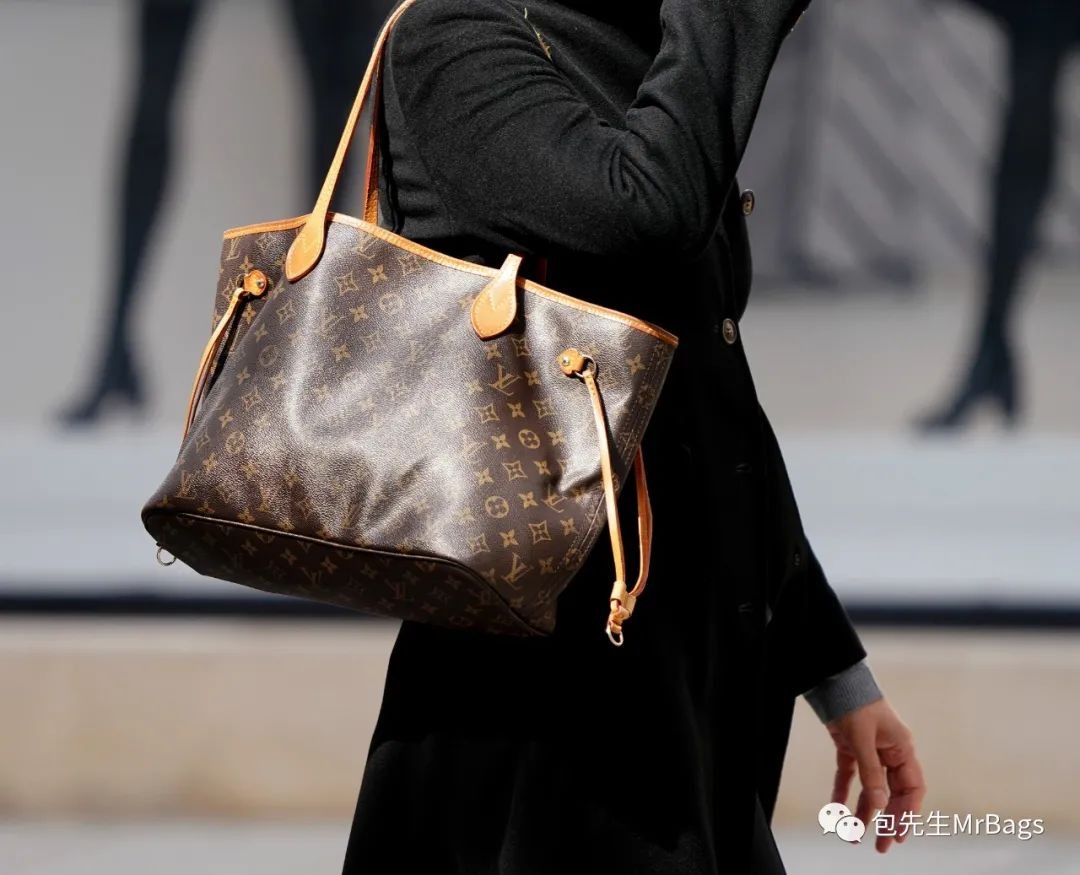 Carryall or Goyard Hobo, which one should I choose? (2023 Updated)-Best Quality designer Bag Review, and online shopping, designer bag ru