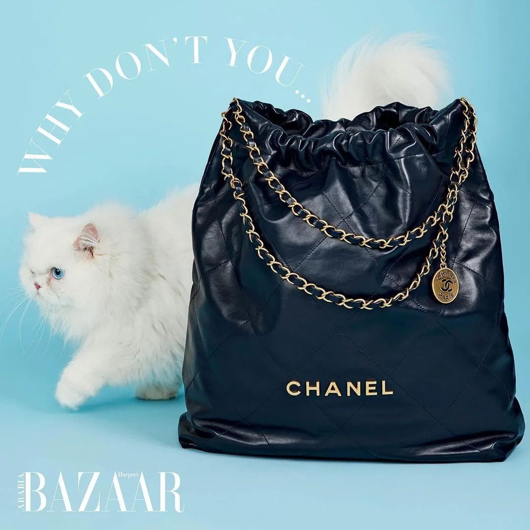 Carryall or Goyard Hobo, which one should I choose? (2023 Updated)-Best Quality designer Bag Review, and online shopping, designer bag ru
