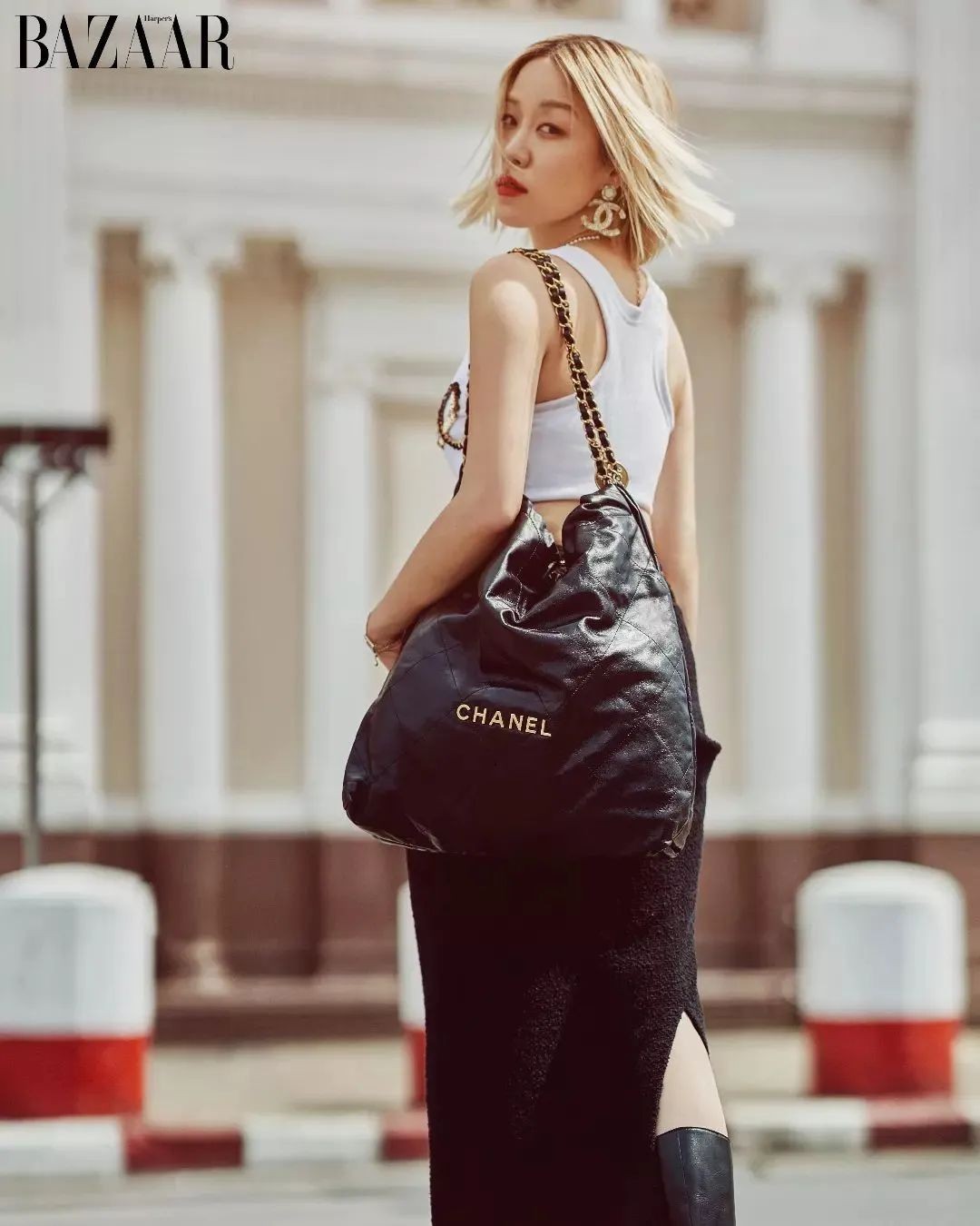 Carryall or Goyard Hobo, which one should I choose? (2023 Updated)-Best Quality designer Bag Review, and online shopping, designer bag ru