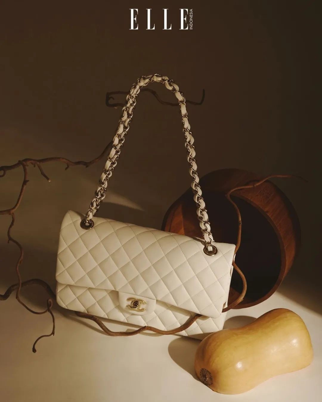 Carryall or Goyard Hobo, which one should I choose? (2023 Updated)-Best Quality designer Bag Review, and online shopping, designer bag ru