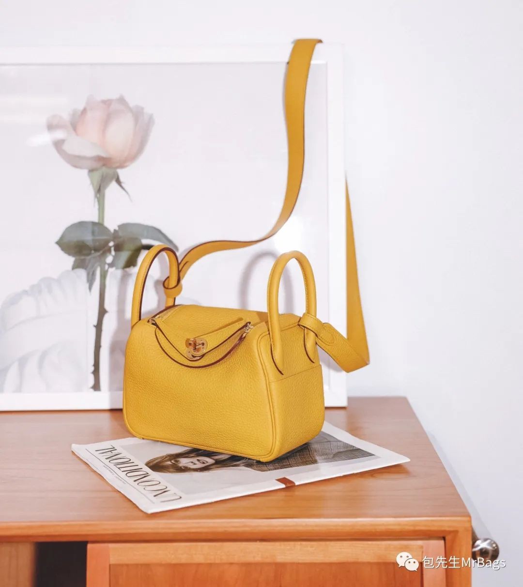 Carryall or Goyard Hobo, which one should I choose? (2023 Updated)-Best Quality designer Bag Review, and online shopping, designer bag ru