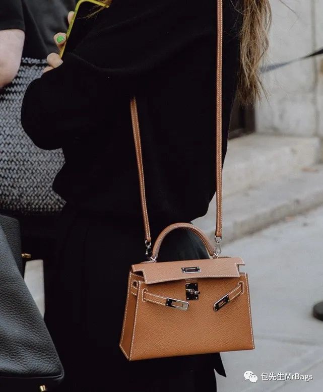 Carryall or Goyard Hobo, which one should I choose? (2023 Updated)-Best Quality designer Bag Review, and online shopping, designer bag ru