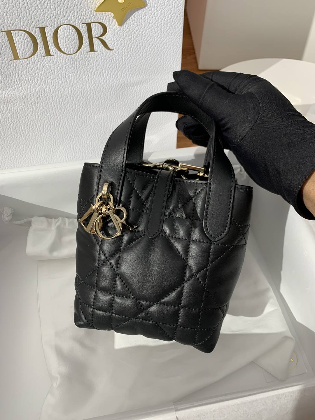 Shebag super replica Dior Toujours mini bag review(Oct 2025 updated)-Best Quality designer Bag Review, and online shopping, designer bag ru Shebag super replica Dior Toujours mini bag review(Oct 2025 updated)-Best Quality designer Bag Review, and online shopping, designer bag ru