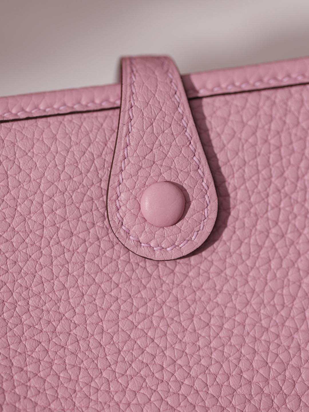 Shebag fully handmade Hermes Evelyne 19 new color bag review(Nov 2025 updated)-Best Quality designer Bag Review, and online shopping, designer bag ru