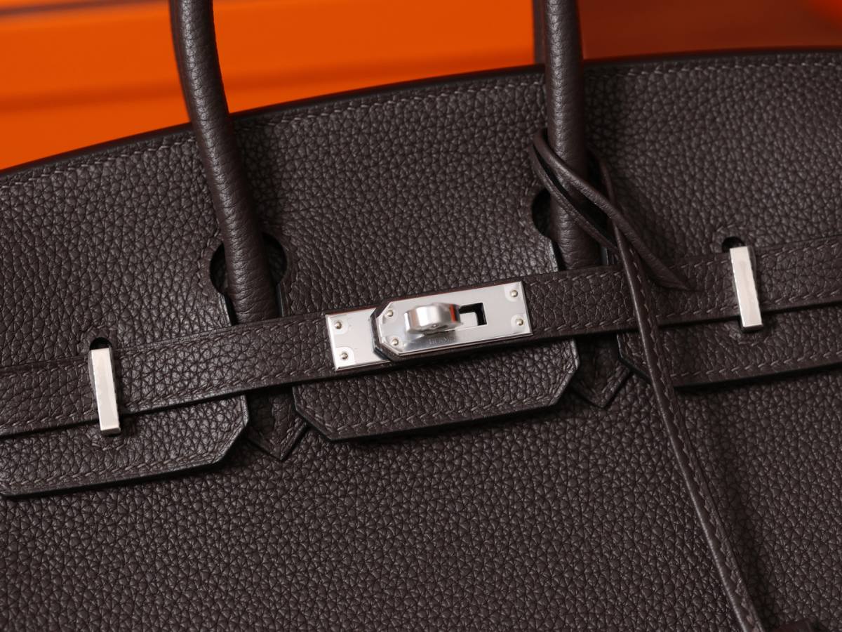 Shebag New Hermes Birkin 25 bag close review(Dec 2025 updated)-Best Quality designer Bag Review, and online shopping, designer bag ru