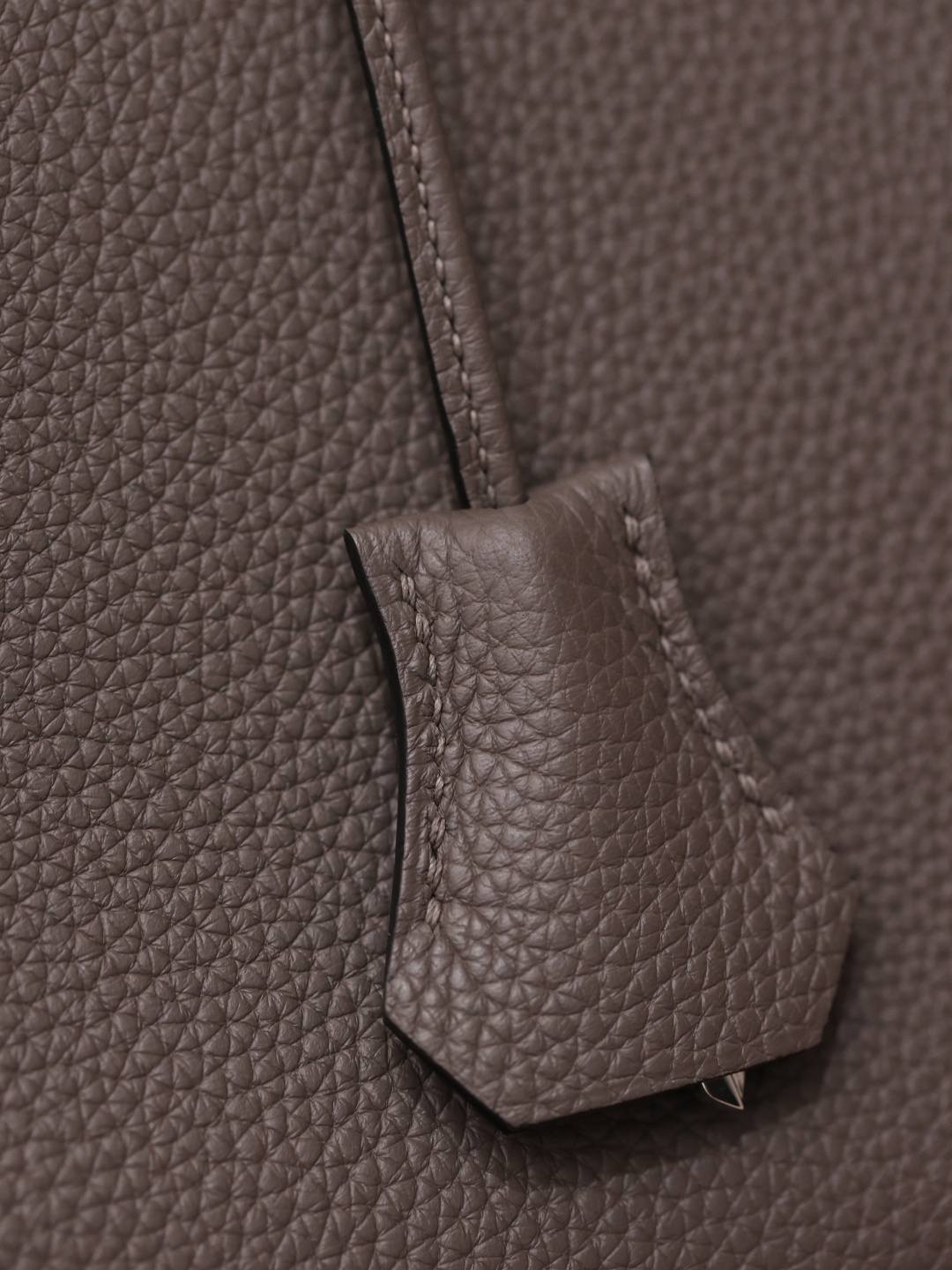 Shebag Hermes Birkin 25 new color bag review(Dec 2025 updated)-Best Quality designer Bag Review, and online shopping, designer bag ru