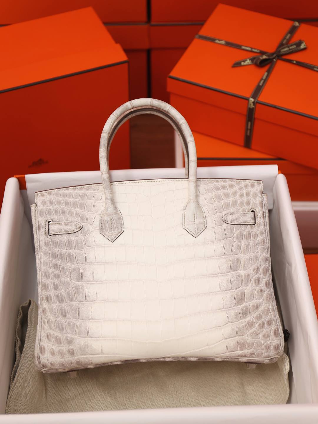 Shebag Hermes Birkin 30 Himalaya cocrodile leather bag review(Dec 2025 updated)-Best Quality designer Bag Review, and online shopping, designer bag ru