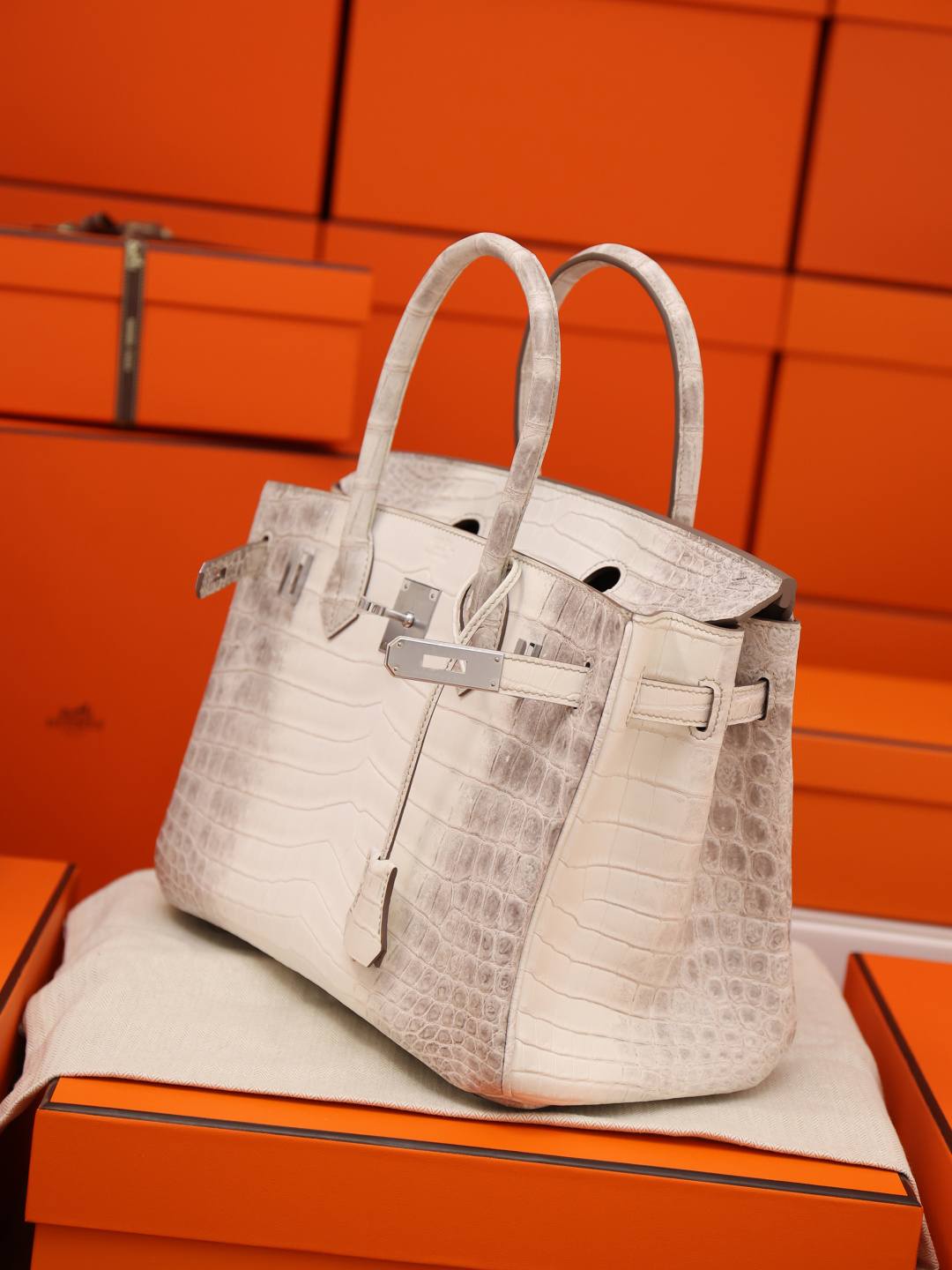 Shebag Hermes Birkin 30 Himalaya cocrodile leather bag review(Dec 2025 updated)-Best Quality designer Bag Review, and online shopping, designer bag ru