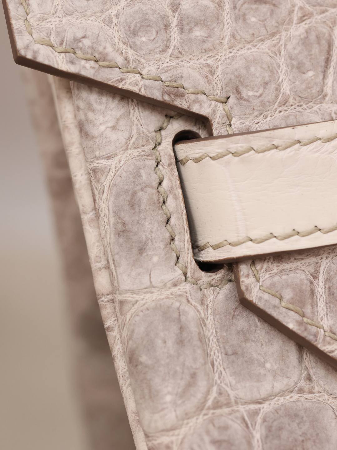 Shebag Hermes Birkin 30 Himalaya cocrodile leather bag review(Dec 2025 updated)-Best Quality designer Bag Review, and online shopping, designer bag ru