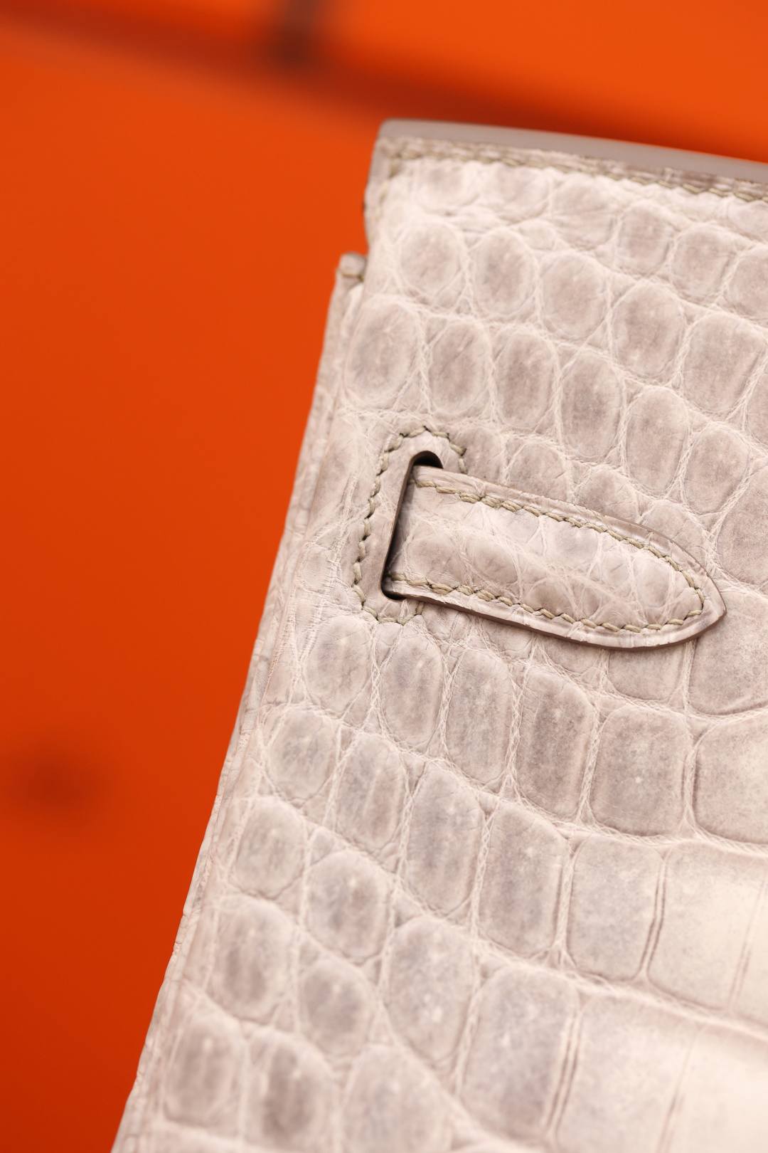 Shebag Hermes Birkin 30 Himalaya cocrodile leather bag review(Dec 2025 updated)-Best Quality designer Bag Review, and online shopping, designer bag ru