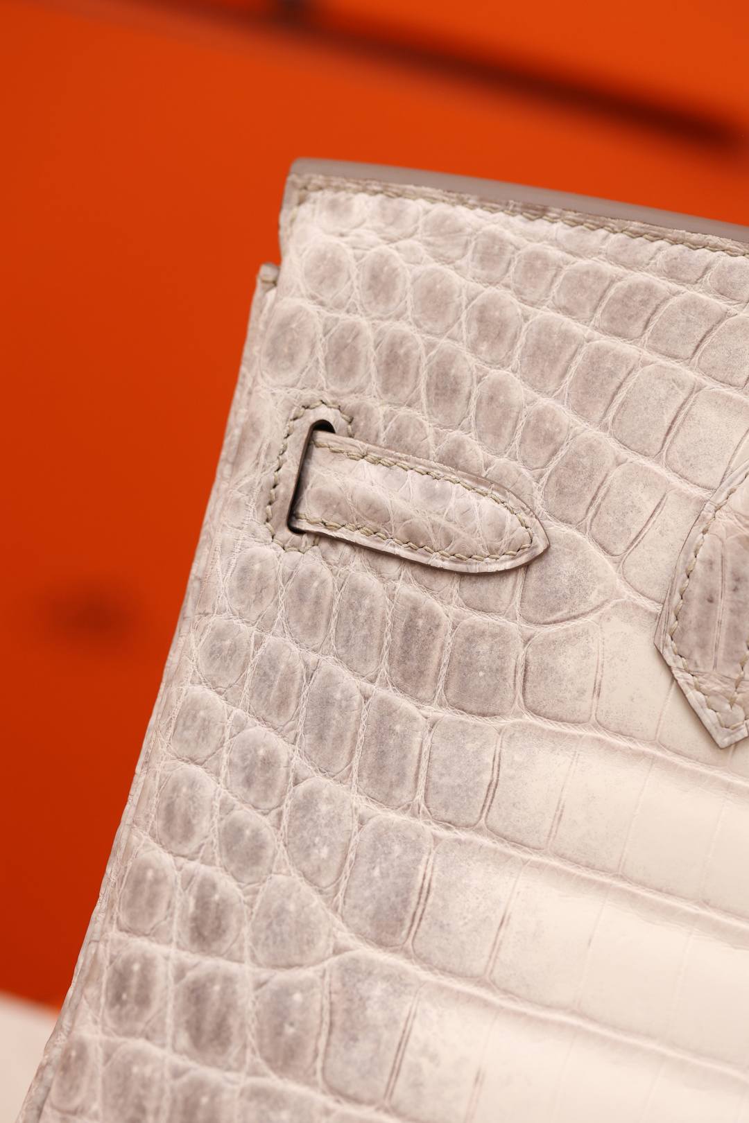 Shebag Hermes Birkin 30 Himalaya cocrodile leather bag review(Dec 2025 updated)-Best Quality designer Bag Review, and online shopping, designer bag ru