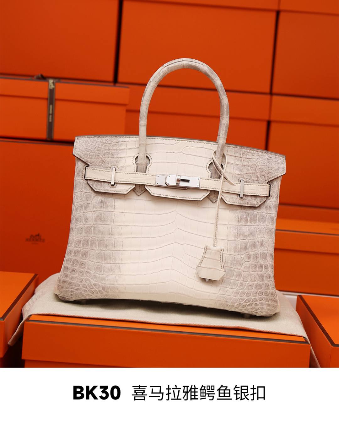 Shebag Hermes Birkin 30 Himalaya cocrodile leather bag review(Dec 2025 updated)-Best Quality designer Bag Review, and online shopping, designer bag ru