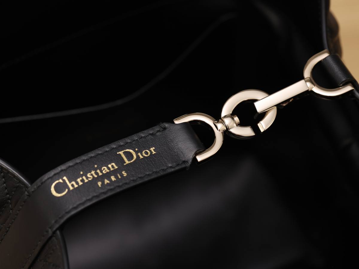 Shebag super replica Dior Toujours Medium size bag review(Apr 2026 updated)-Best Quality designer Bag Review, and online shopping, designer bag ru