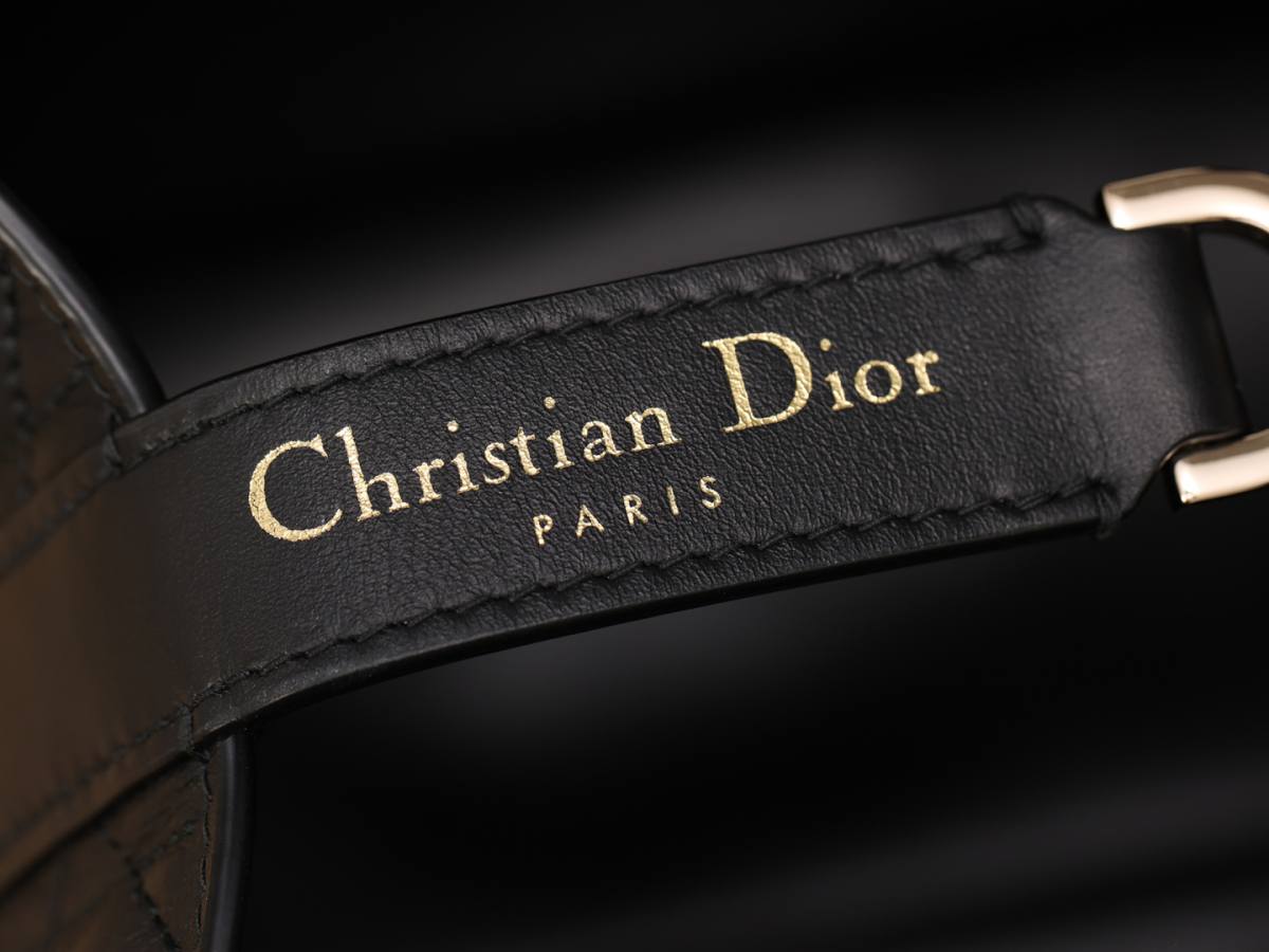 Shebag super replica Dior Toujours Medium size bag review(Apr 2026 updated)-Best Quality designer Bag Review, and online shopping, designer bag ru
